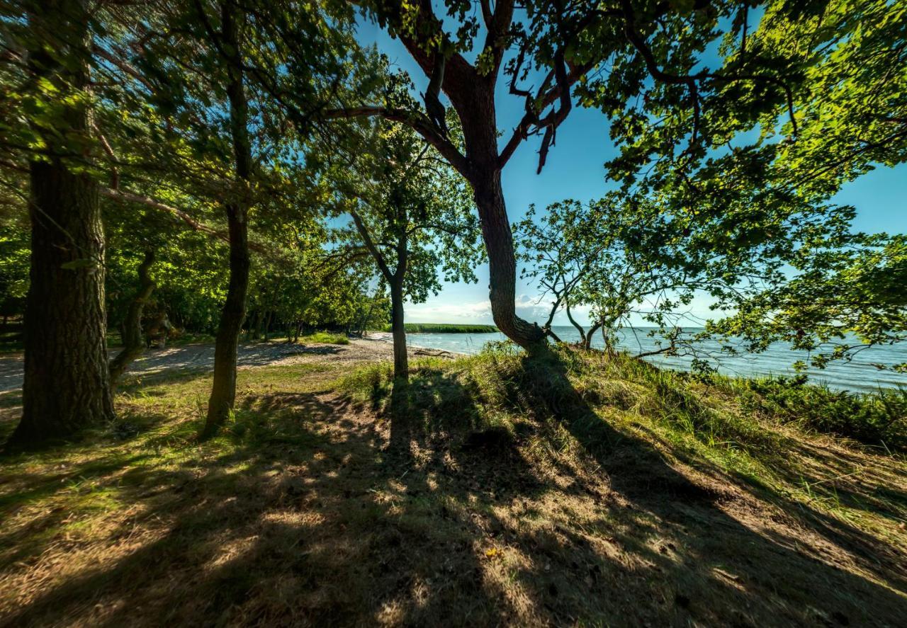 Traumhaff Kuestenchalets - Einzigartige Chalets An Der Ostsee. Ganz Aus Laerchenholz Mit Kamin Und Sauna Vogelsang-Warsin Εξωτερικό φωτογραφία